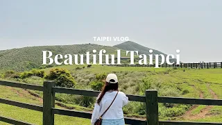 TAIWAN TRAVEL VLOG | Taipei 101, Qingtiangang Grassland, Beitou and Food Trip