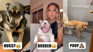 Watch What Those Funny TikTok Pets Have in Mind😍 | Fluff Planet