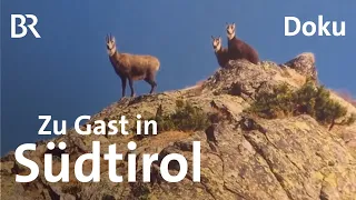 Berggasthöfe und Buschenschänken in Südtirol | Unter unserem Himmel | BR | Doku | Berge