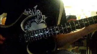 Slaget Vid Blodsälv (guitar cover)