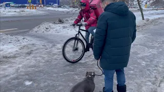 «Ремонтируем» Вики в городе, а была ли проблема? это и есть сложно? День 1 часть 2  смотрим далее…