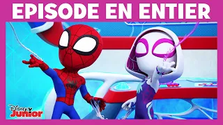 Spidey et ses amis extraordinaires - Moment Magique : Une situation bien collante