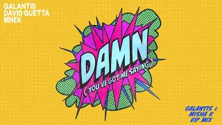 Galantis, David Guetta & MNEK - Damn (You’ve Got Me Saying) [Galantis & Misha K VIP Mix] Visualizer