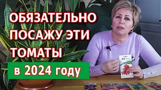 Лучшие сорта томатов 2024 года. Новинки сортов помидор и томаты проверенные временем!