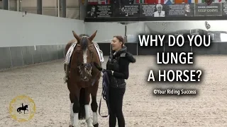 WHY DO YOU LUNGE A HORSE? - Dressage Mastery TV Episode 219