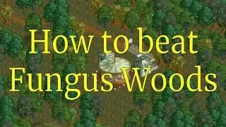 RCT2 - How to beat Fungus Woods