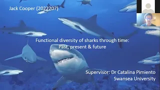 Jack Cooper - Functional diversity of sharks through time: past, present and future