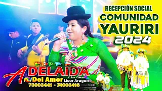 ADELAIDA DEL AMOR EN VIVO RECEPCION SOCIAL FRAT. MORENADA SEÑORIAL FANÁTICOS COMUNIDAD YAURIRI 2024