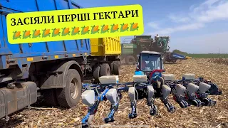 СІЄМО кукурудзу «ДКС»3972