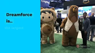 Why You Should Attend Dreamforce 2019! | DF 19 | - Algoworks
