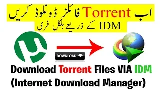 How to Download Torrent Files With IDM | High Speed with Unlimited Size