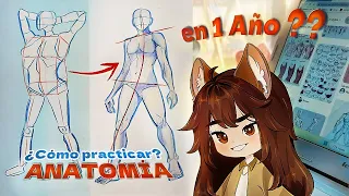 ¿CÓMO PRACTICAR ANATOMÍA? l ¡Horario Semanal completo! + 100 Libros de Dibujo | Dibuja como un PRO✨