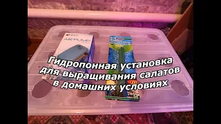 Простейшая гидропонная установка для выращивания салатов в домашних условиях