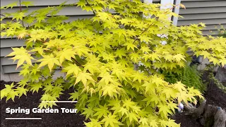 Spring Garden Stroll | Japanese Maples