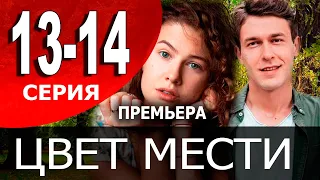 Цвет мести. 13 - 14 СЕРИЯ (сериал, 2021) обзор