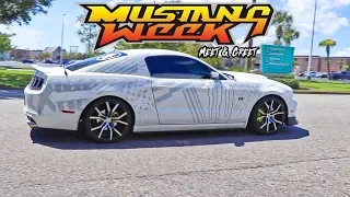 Mustang Week 2019 Meet & Greet Walk Around