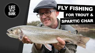 Fly fishing for beginners - GIVE IT A TRY