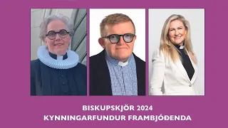 Kynningarfundur Reykjavíkurprófastsdæmi 25. mars 2024.