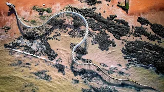 Giant Snake Skeleton - Serpent d'ocean by Huang Yong Ping | France | 4K Drone