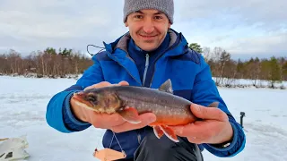 Ice Fishing for Arctic Char in Norway