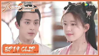 EP19 Clip | The daughter-in-law his mother recognized was her?! | 国子监来了个女弟子 | ENG SUB