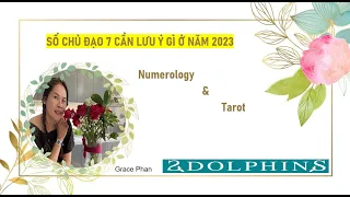 Số 7 lưu ý gì ở năm 2023- Numerology & Tarot