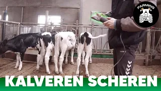 KLAFJES SCHEREN voor de EERSTE keer!