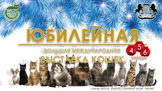 Выставка КЛК "LEORUSS" "Юбилейная" 2024 | Saturday Jubilee Show