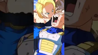 ANDROID18 VS VEGETA