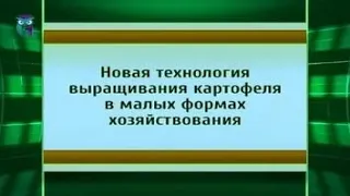 Новая технология выращивания картофеля в малых формах хозяйствования