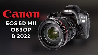 Canon EOS 5D Mark II В 2023 Коммерция сравнение
