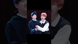 私が好きなジンとのコンビシリーズ2位2seok(⑉• •⑉)❤︎見てると安心する2人♡ホプジン[Jamais Vu BTS]jin&j-hope