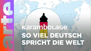 Die deutsche Sprache in der Welt | Karambolage |ARTE