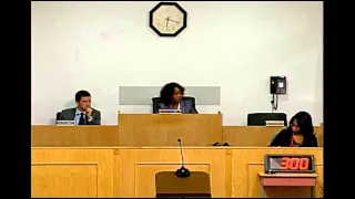 Flint City Council Meeting 11.09.2015