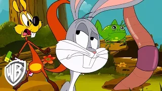 Looney Tunes en Français | De gros ennuis | WB Kids