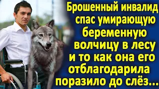 Парень спас беременную волчицу в лесу. И то, как она его отблагодарила, поразило до слёз...