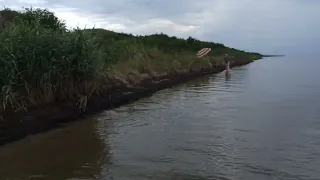 ЛИМАН НА БУГАЗСКОЙ КОСЕ. СТАНИЦА БЛАГОВЕЩЕНСКАЯ. ОТДЫХ, ЦЕНЫ