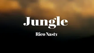 Jungle - Rico Nasty 🎧Lyrics