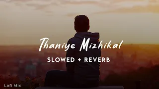 Thaniye Mizhikal | Lofi Mix | Slowed + Reverb | Guppy