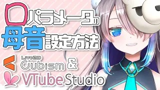 【Live2D&VtubeStudio】超簡単な口の母音パラメーター＆トラッキング設定方法