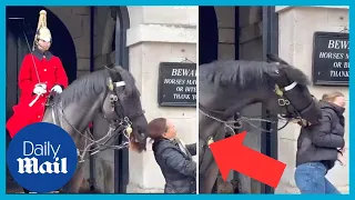 King's Guard horse bites TWO women's ponytails when they get too close