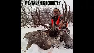 'TO THE TOP 1' MONTANA PUBLIC LAND HIGH COUNTRY MULE DEER