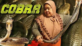 Kumain ako ng Delikadong COBRA sa Indonesia!! Bakit ito kinakain dito?!