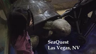 SeaQuest in Las vegas, Nevada