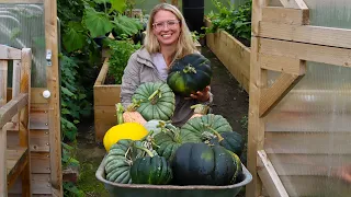 The Garden in October // Pumpkin Harvest, Planting Broccoli and Cauliflower