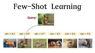Few-Shot Learning (1/3): Basic Concepts