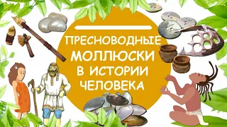 Пресноводные моллюски в истории человека | Познавательное видео | Удивительный мир беспозвоночных