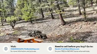 3486 MIDDLE FORK, Fairplay, CO Presented by Kevin Copeland.