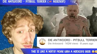 DIE ANTWOORD - PITBULL TERRIER (🇬🇧 Reaction) || Each Tune Is A New Surprise!