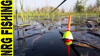 Catching of a large crucian carp | These monsters just tear the tackle !!!